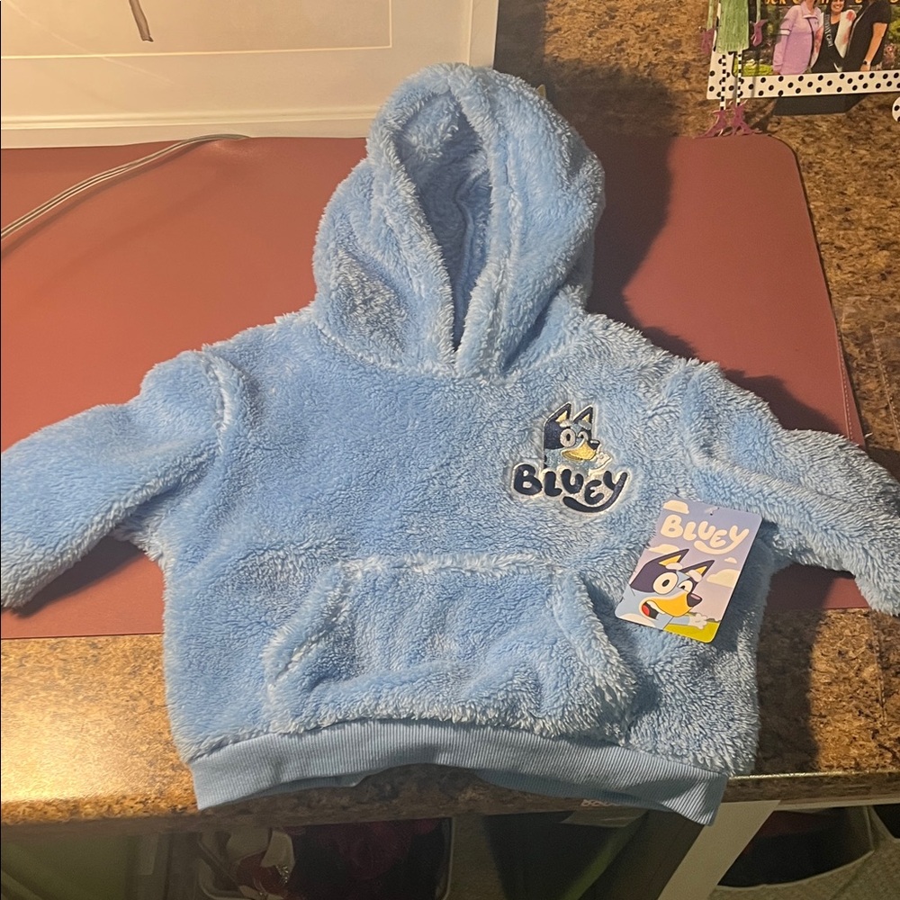 KIDS 🧒 Bluey Kids' Cozy Blue Fleece Hoodie